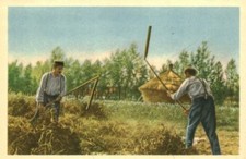 Image ancienne chromo chocolat