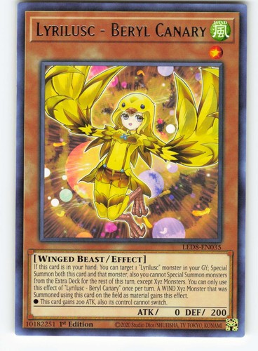 Lyrilusc beryl canary - lyrilusc,