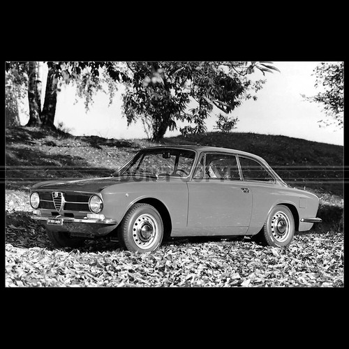 Photo 037244 alfa romeo - photo,