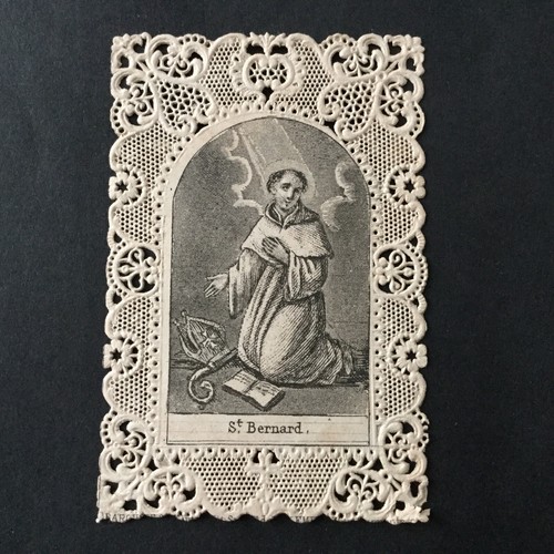 Canivet saint bernard - saint,