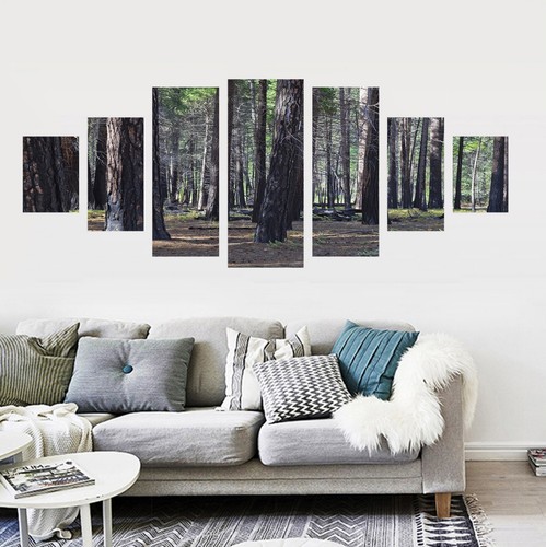 Paysage forestier 217 - paysage,