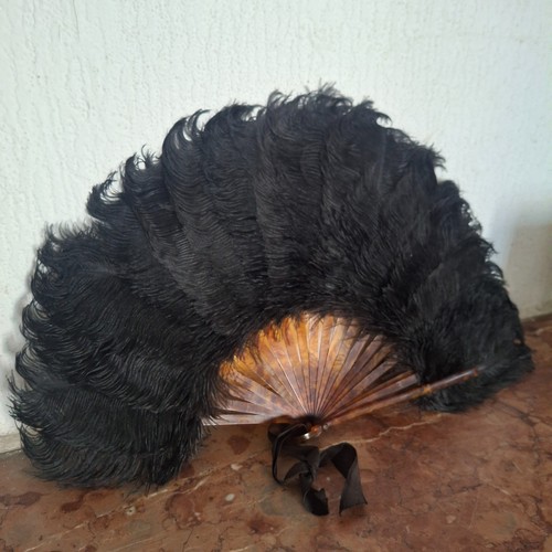 Ancien éventail plume - éventail, en