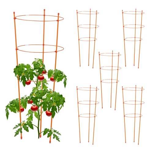 Tuteur tomate support - , de