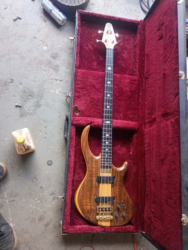 Alembic string solid body - alembic,