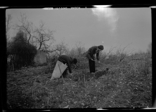 Portrait cultivateur