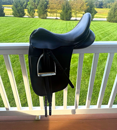 County connection dressage - connection,