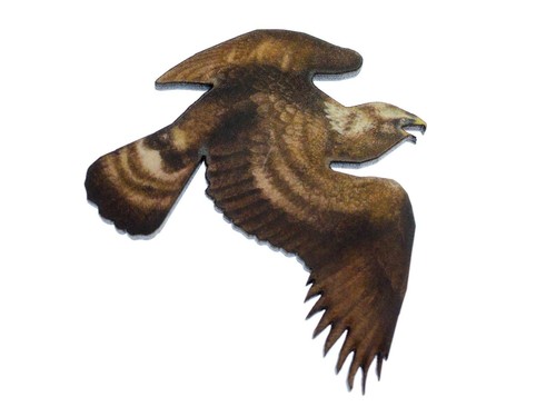 Imprimé oiseau animal bois - oiseau,