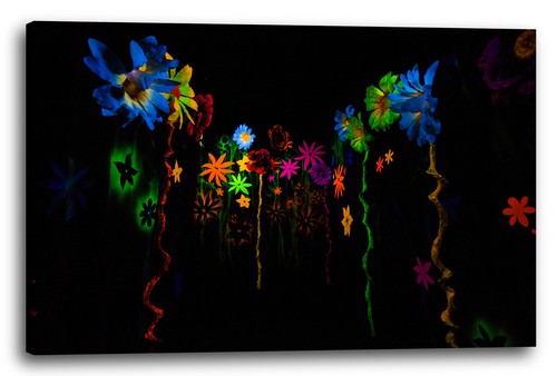 Toile cadres fleurs colorées - fleurs,