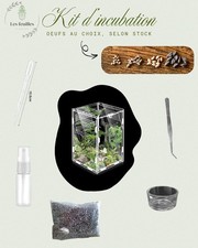 Incubation Kit - HERMAGORAS