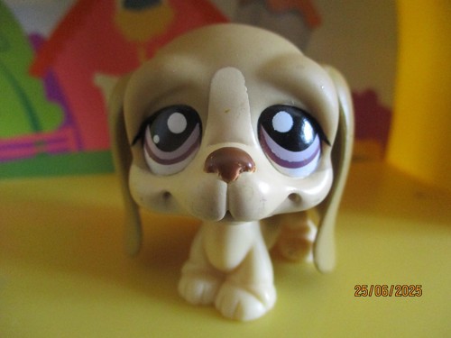 Petshop chien basset - petshop, hound