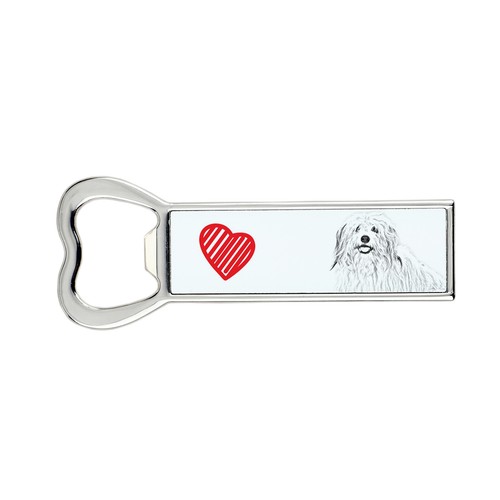 Coton tulear ouvre boîte - tulear, ouvre-boîte