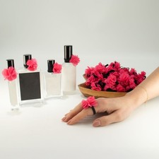 10 Anneaux Fleurs Diffuseurs