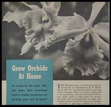 Grow Orchids at Home Terrarium Wardian Case 1951 HowTo Build PLANS