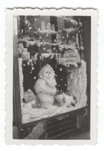 G676 vitrine pharmacie france - vitrine, pharmacie.