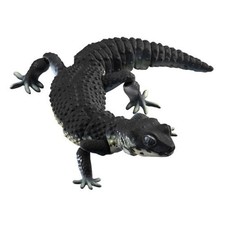 Nouvelle figurine Bandai Gashapon Leopard Gecko ADVANCE couleur nuit noire