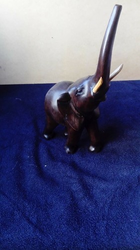 Eléphant avec trompe en - eléphant, sa