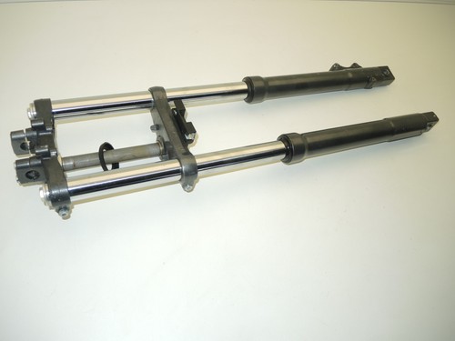 Fourche derbi race de - fourche,