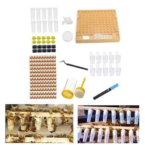 Cages reines kit - à,