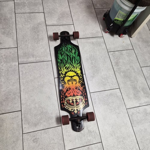 Santa cruz lion - lion, rasta