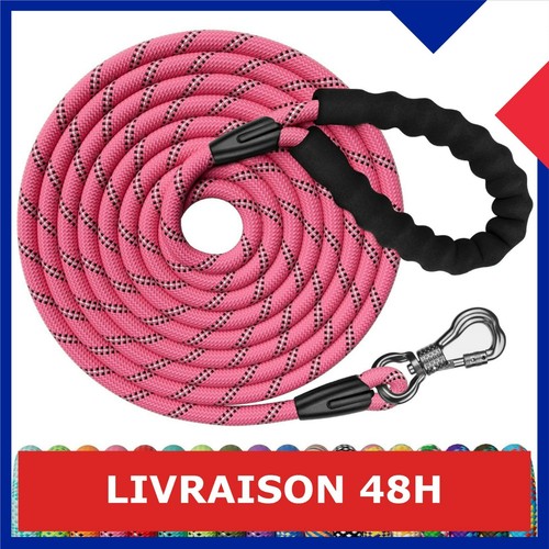 Longe pour chien xben - pour,