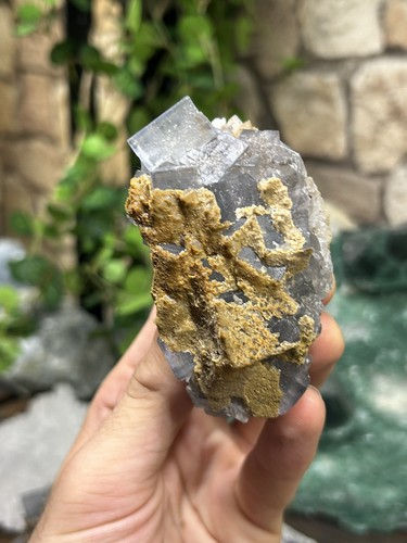 Fluorite bleue tarn - fluorite,