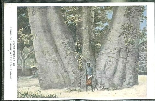 Congo belge - congo,