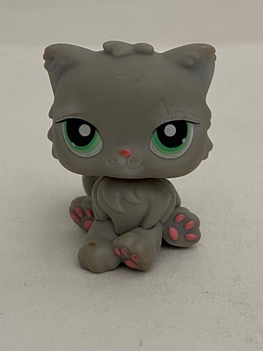 Petshop chat persan n - chat,