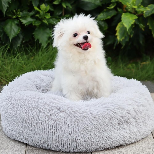 Lit pour chien taille moyenne - chien,