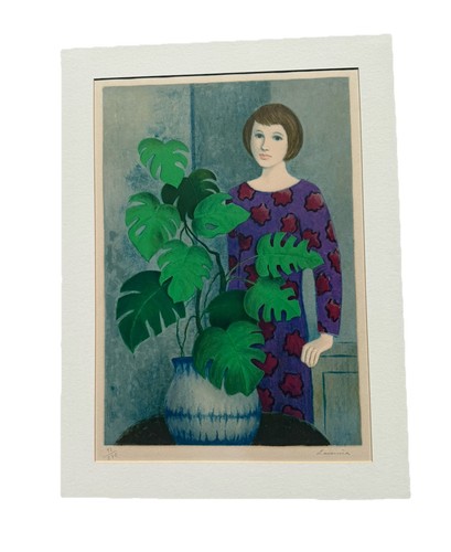 Angelina lavernia plante - lavernia,