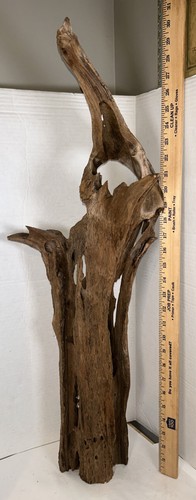 Driftwood taxidermy terrarium - driftwood,