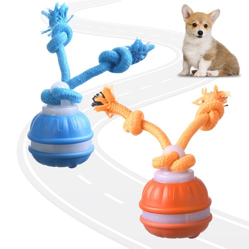 Jouet pour chien - jouet,