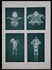 GEORGES FOUQUET, BIJOUX ART