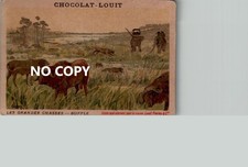 Lot de 2 chromos Chocolat