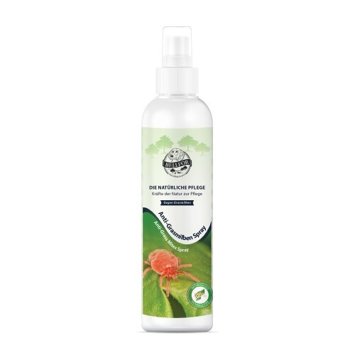 Spray - eur/100, ml)
