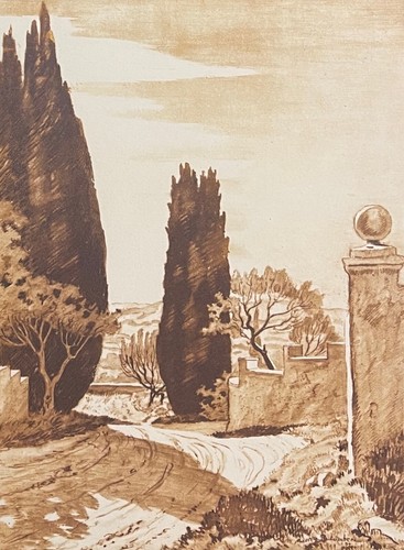 Route provence cyprès - et,