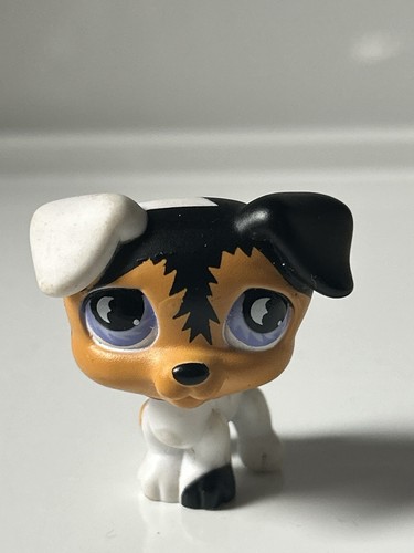 Petshop chien jack - petshop, 803