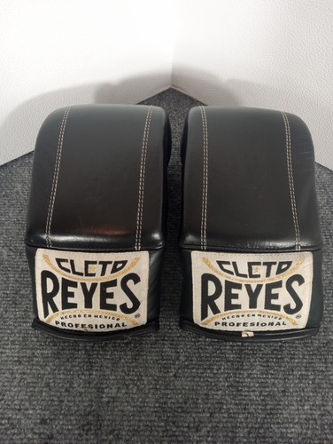 Cleto reyes boxing mma bag - boxing,,