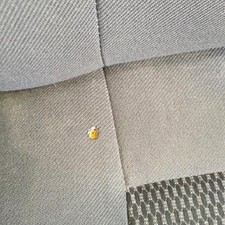 Siege avant droit CITROEN