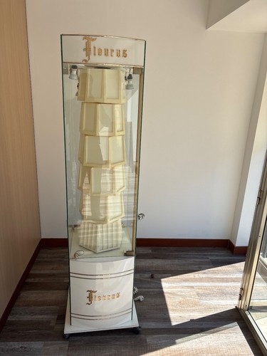 Vitrine pour bijouterie - vitrine,