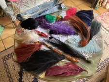 lot superbes plumes anciennes