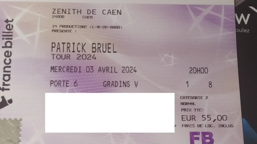 Place concert patrick bruel - de,