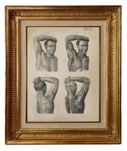 Gravure lithographie xix - lithographie, xix°
