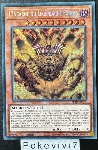 Carte l incarne du - yu-gi-oh!,