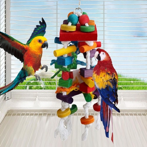 Jouets mâcher pour - à,