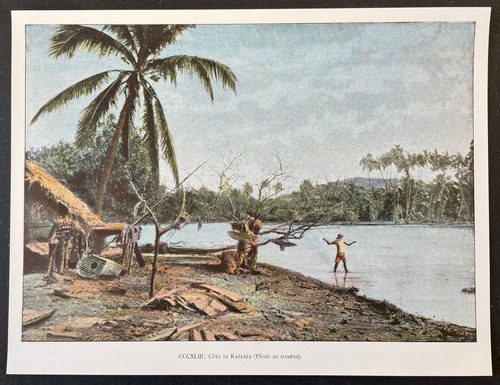 Polynésie raiatea pêche - raiatea,