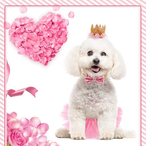 Déguisement chien - ,