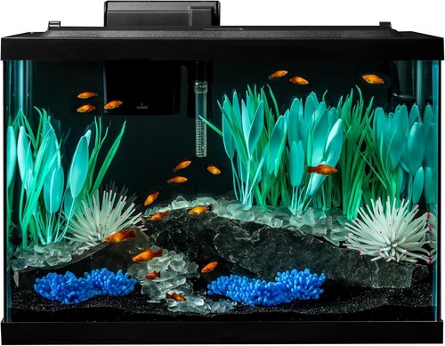 Colorfusion aquarium gallon - colorfusion,