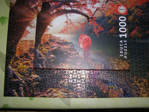 Puzzle 1000 pièces - , educa