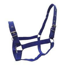 Harnais pour chevaux