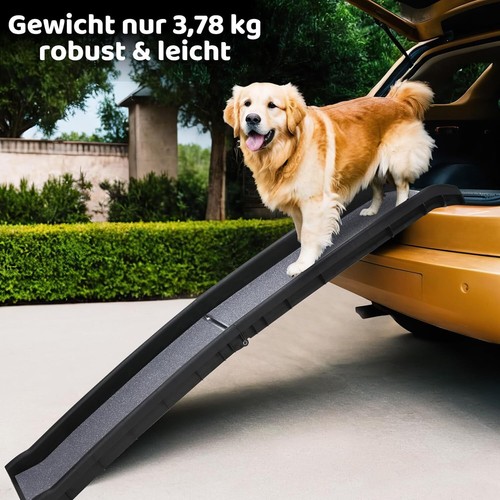 Chien escalier pour - chien,